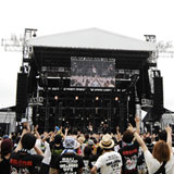 WHITE ASH