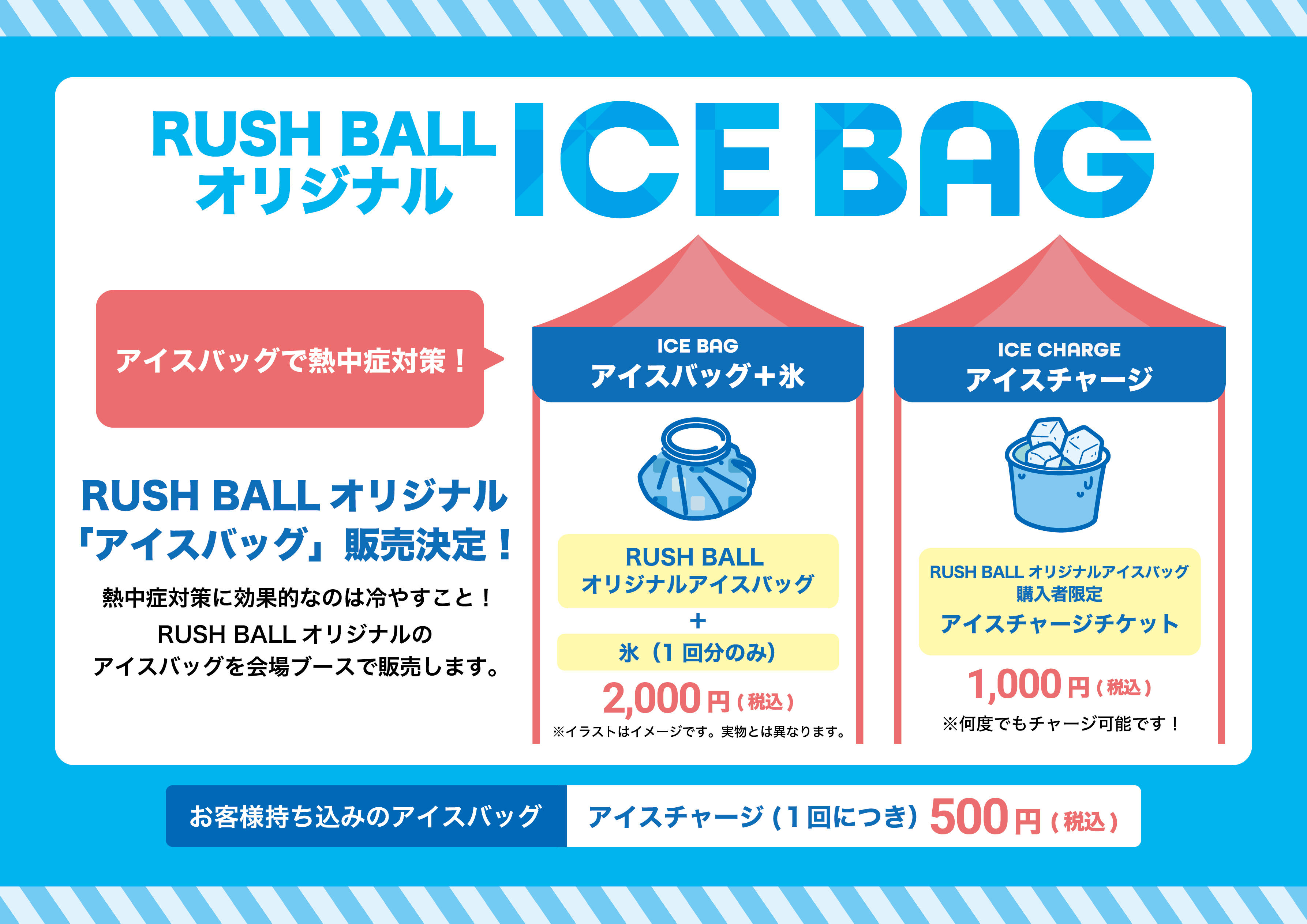 icebag.jpg